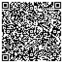 QR code with Precise Technology contacts