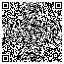 QR code with Central Dynamics Corp contacts