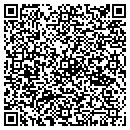 QR code with Professional Computer Systems Inc contacts