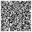 QR code with Prinx Usa Inc contacts