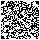 QR code with Professional Computer Sol contacts