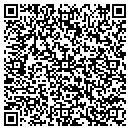 QR code with Yip Tony CPA contacts