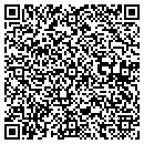 QR code with Professional Systems contacts