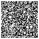 QR code with Puranam Computer contacts