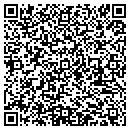 QR code with Pulse Corp contacts