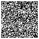 QR code with Cyberclean Systems LLC contacts