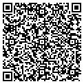 QR code with Roots contacts