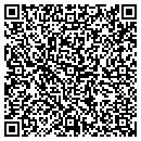 QR code with Pyramid Cleaning contacts