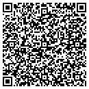 QR code with Coulson David A CPA contacts