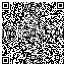 QR code with Pro3 Security contacts