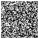 QR code with Clarke Security Inc contacts