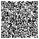 QR code with Blanar Michael J CPA contacts