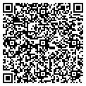 QR code with Stems contacts