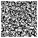 QR code with Celustore USA Inc contacts