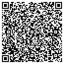QR code with Proven Solutions Inc contacts