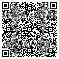 QR code with Codllc contacts