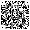 QR code with Dsi Process Systems contacts