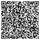 QR code with Chesteen & Assoc LLC contacts