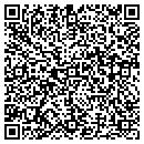 QR code with Collins James D CPA contacts