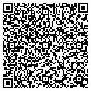 QR code with Pruitt Jeffery D CPA contacts