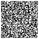 QR code with Placement Partners Inc contacts