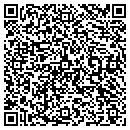 QR code with Cinament's Taxidermy contacts