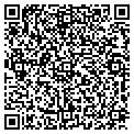 QR code with P LLC contacts