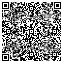 QR code with Carol Surface Studio contacts