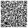 QR code with Vital Designs contacts
