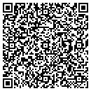 QR code with Prg Cpa Pllc contacts