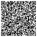 QR code with Psi Services contacts
