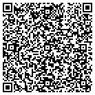QR code with Professional It Service contacts