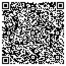 QR code with Cyber Sidewalks LLC contacts