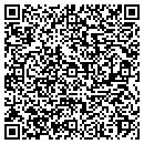 QR code with Puschendorf Interiors contacts