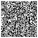 QR code with Dz Interiors contacts