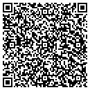 QR code with Borgsdorf Charles W contacts