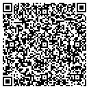 QR code with Color Touch Interiors contacts