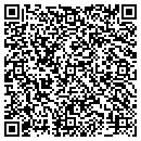 QR code with Blink Interiors L L C contacts