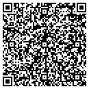 QR code with Clemenson Steven MD contacts