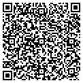 QR code with M G M Transactions contacts