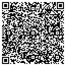 QR code with Chestnut Tax Service contacts