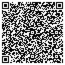 QR code with Psa Acquisition Corp contacts
