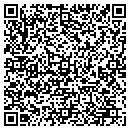 QR code with preferred pools contacts