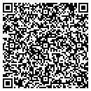 QR code with Practical Systems Inc contacts