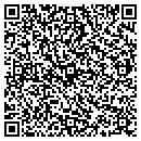 QR code with Chestnut Tax Services contacts