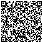 QR code with Premier Tax & Financial S contacts