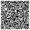 QR code with Carters Tax Service contacts