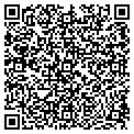 QR code with Tiwt contacts
