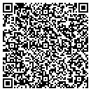 QR code with Precision Tax Service contacts