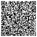 QR code with Pyke & Assoc contacts
